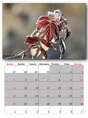 Image showing nature calendar december