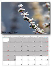 Image showing nature calendar february