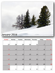 Image showing nature calendar january