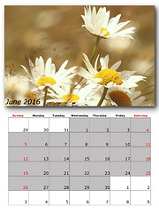 Image showing nature calendar june