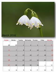 Image showing nature calendar march