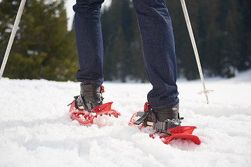 Image showing couple having fun and walking in snow shoes