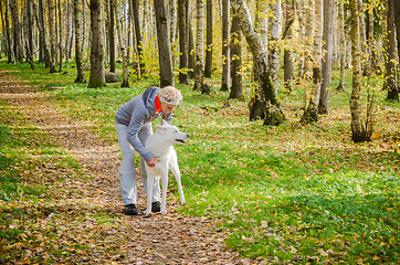 Image showing Woman with dog walking in the birch alley, sunny autumn day