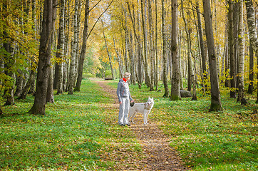 Image showing Woman with dog walking in the birch alley, sunny autumn day