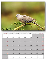 Image showing garden birds calendar  july 2016