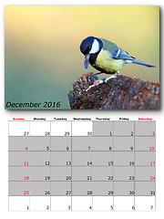 Image showing garden birds calendar  december 2016