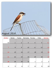 Image showing garden birds calendar  august 2016