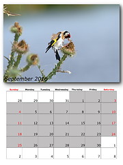 Image showing garden birds calendar  september 2016