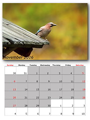 Image showing garden birds calendar  november 2016