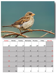 Image showing garden birds calendar  october 2016