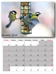 Image showing garden birds calendar january 2016