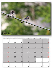 Image showing garden birds calendar  june 2016