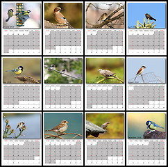 Image showing garden birds calendar year 2016