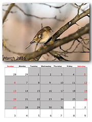 Image showing garden birds calendar  march 2016