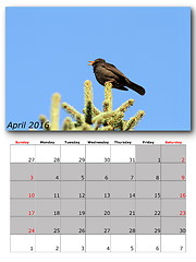 Image showing garden birds calendar  april 2016