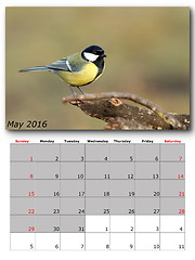 Image showing garden birds calendar  may 2016