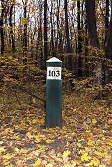 Image showing a wooden pole in the forest