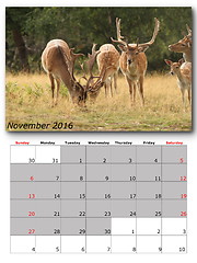 Image showing wildlife calendar november 2016