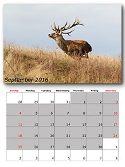 Image showing wildlife calendar september 2016