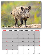 Image showing wildlife calendar may 2016