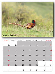 Image showing wildlife calendar march 2016