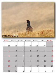 Image showing wildlife calendar october 2016