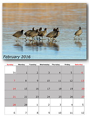 Image showing wildlife calendar february 2016