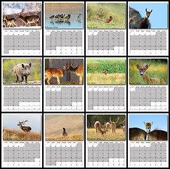 Image showing wildlife calendar 2016