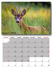 Image showing wildlife calendar august 2016