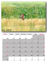 Image showing wildlife calendar july