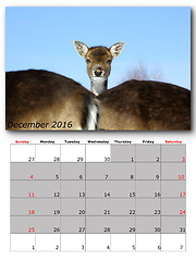 Image showing wildlife calendar december 2016