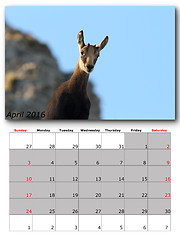 Image showing wildlife calendar april 2016