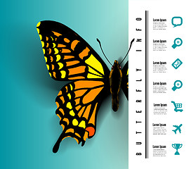 Image showing Realistic butterfly top view
