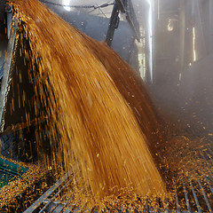 Image showing the corn unloaded