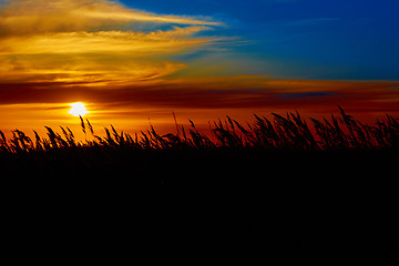 Image showing Sunset in the steppe.