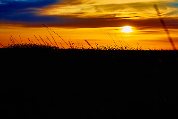 Image showing Sunset in the steppe.