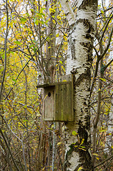 Image showing birdhouse in the tree