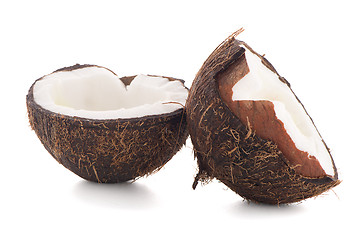 Image showing Coconut