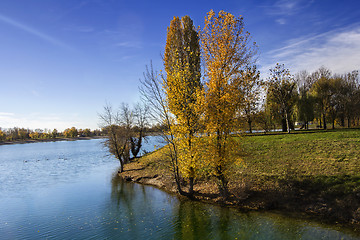 Image showing Trees along Lake in the autumn