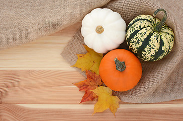 Image showing Three autumn gourds with maple leaves 