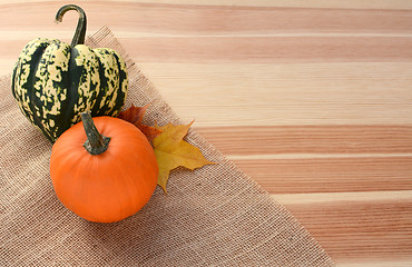 Image showing Harlequin and small orange pumpkin with maple leaves