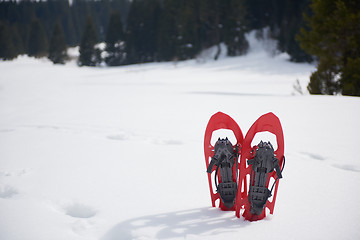 Image showing winter snowshoes