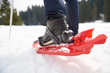 Image showing couple having fun and walking in snow shoes