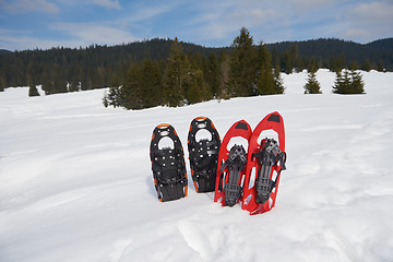 Image showing winter snowshoes