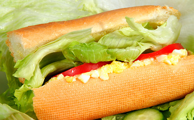 Image showing Egg salad in a bread stick roll