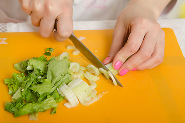 Image showing Close up of a female hand cutting celery and herbs