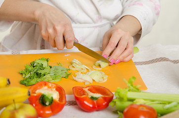 Image showing Close up of a female hand cutting celery, lie around vegetables and fruits