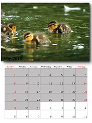 Image showing may nature calendar page layout