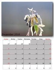 Image showing december nature calendar page layout