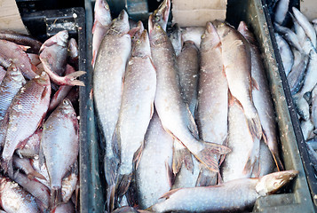 Image showing fish market